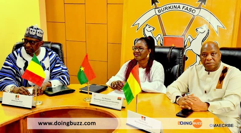 Fédération Mali-Guinée-Burkina : La Cedeao Rejette Le Projet