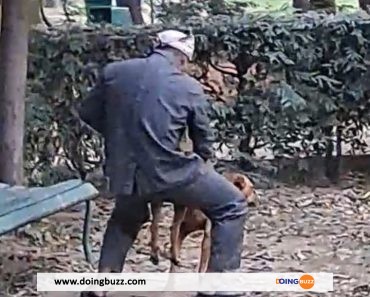 VIDÉO : un homme viole un chien dans un parc
