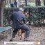 VIDÉO : un homme viole un chien dans un parc
