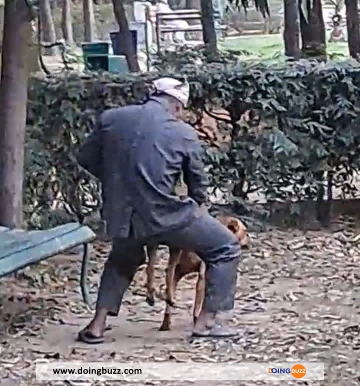 Video : Un Homme Viole Un Chien Dans Un Parc