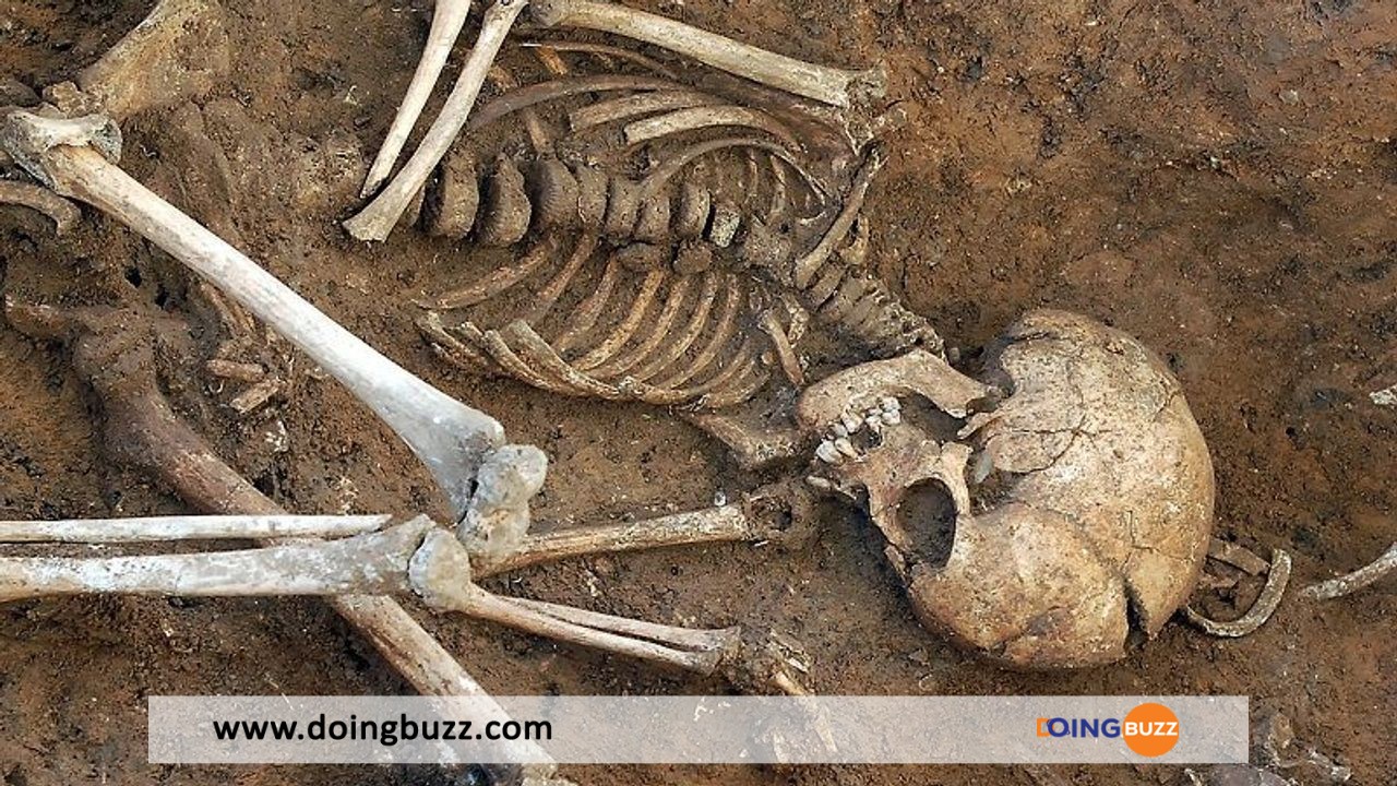 France : des ossements humains découverts dans une forêt