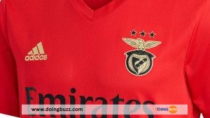 Le Club Benfica Fait L’objet De Soupçons De Corruption, Les Raisons !