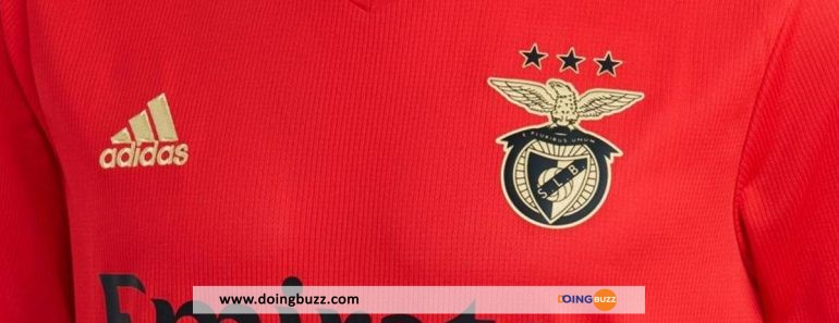 Le Club Benfica Fait L’objet De Soupçons De Corruption, Les Raisons !