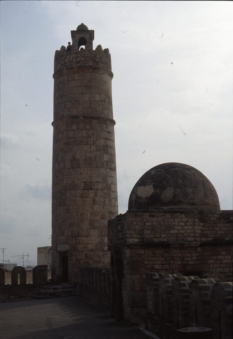 Can 2023 : L’algérie Terrasse Le Niger Pour Les Qualifications, Le Score !