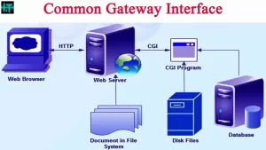 Cgi (Common Gateway Interface) : Tout Ce Que Vous Devez Savoir Sur Cette Technologie En 2023