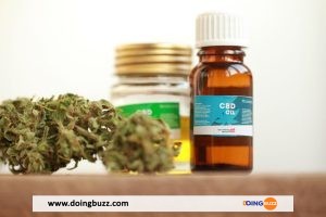 Le Cbd : Une Panoplie De Produits Et De Nombreuses Vertus