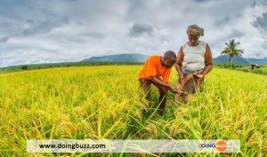 Le Togo Envisage De Mesurer L’accroissement De La Richesse Par Habitant