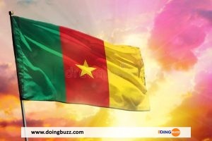 Les Camerounais au Mali : « nous vivons une situation que nous ne pouvons plus supporter »