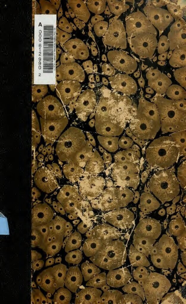 Naufrage meurtrier au Gabon : Le gouvernement prend d&rsquo;importantes mesures