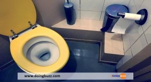 Comment Déboucher Des Toilettes Sans Ventouse En Utilisant Des Astuces Simples