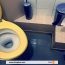 Comment Déboucher Des Toilettes Sans Ventouse En Utilisant Des Astuces Simples