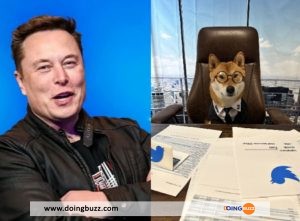 Elon Musk Nomme Son Chien Floki À La Tête De Twitter