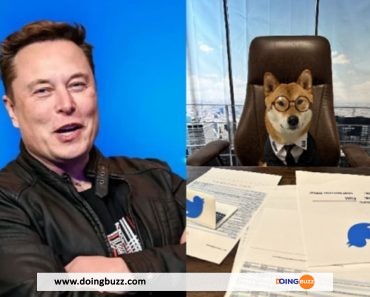 Elon Musk nomme son chien Floki à la tête de Twitter