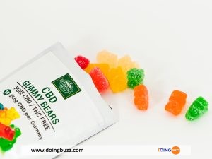 Huile, Gélules, Bonbons : De Nouveaux Types De Consommation Pour L&Rsquo;Huile De Cbd