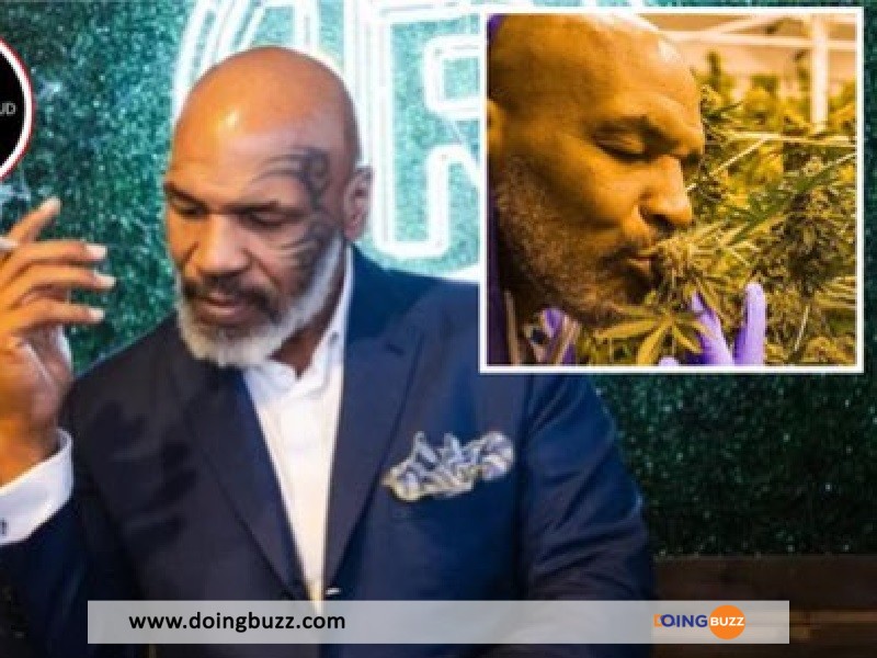 Mike Tyson Lance Son Business De Marijuana Aux Pays-Bas : Voici L'Argent Qu'Il Gagne