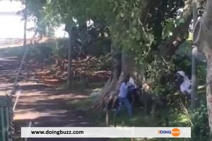 Vidéo : En Plein Ébat Sexuel Sur Une Place Publique, Un Couple Se Fait Chicoter Par Un Passant