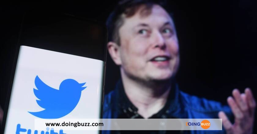 Elon Musk Remplace Le Logo Twitter Par Un Mème De Chien, Les Internautes Choqués