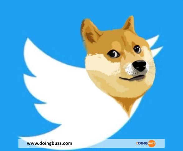 Twitter Doge 588X486 1