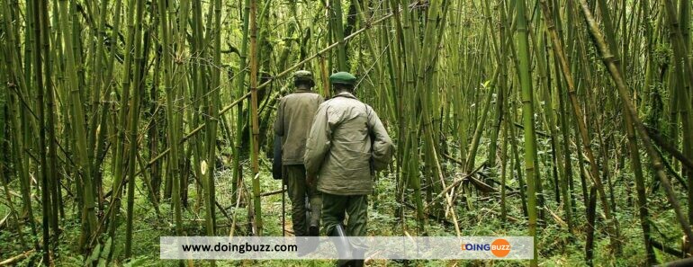 Rdc: 4 Morts Dans Une Attaque Près Du Parc Des Virunga