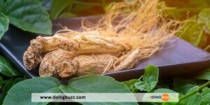 Le Ginseng Pour Les Hommes : Bienfaits Et Utilisations