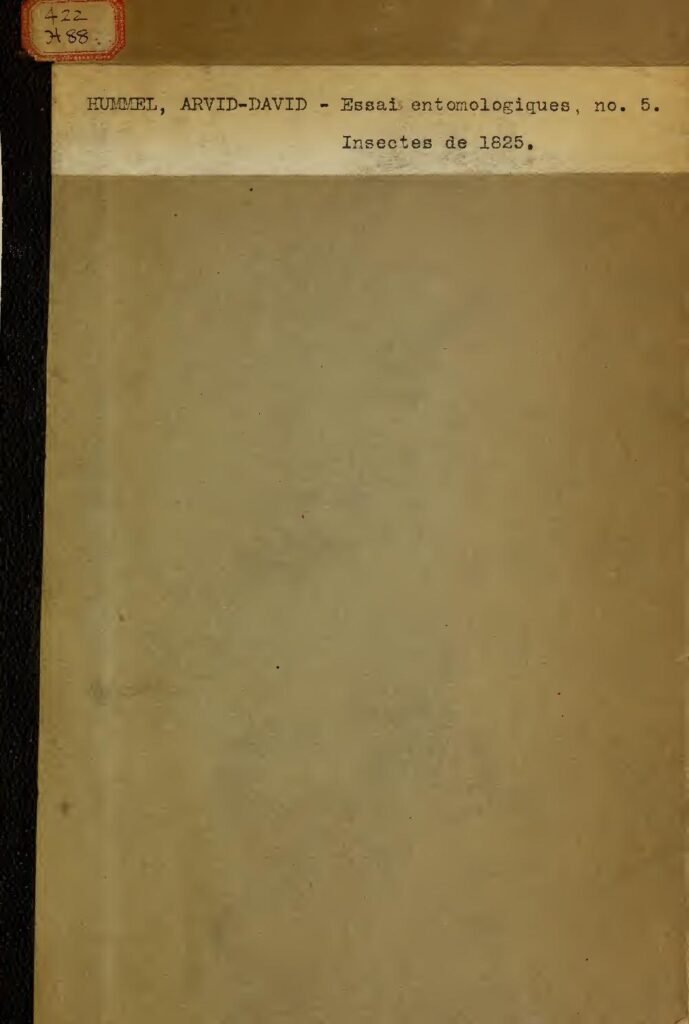 VIDEO : Mr P crée la polémique en embrassant une fan en plein concert