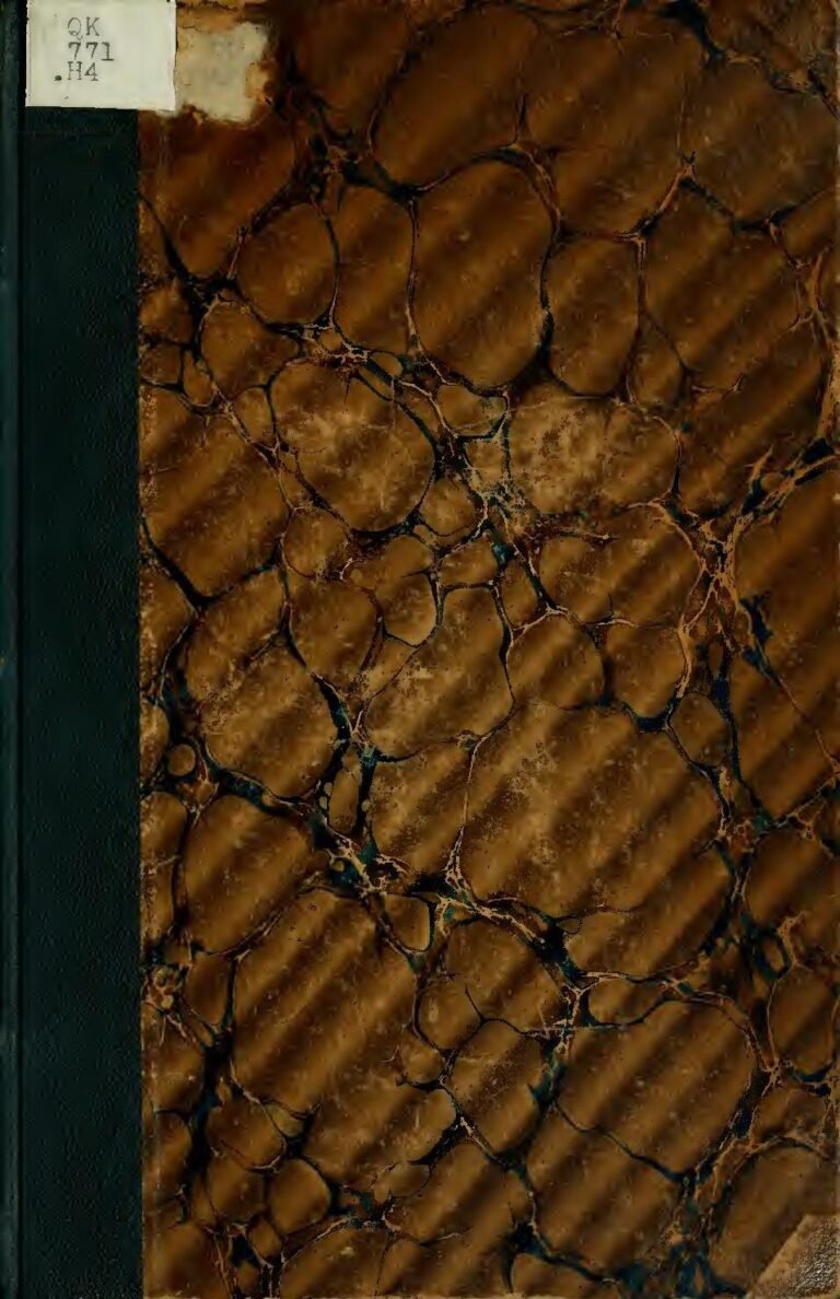 Bonne nouvelle pour Mani Bella : La chanteuse a enfin accouché