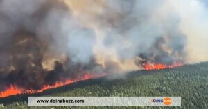 La Solidarité Internationale À L&Rsquo;Œuvre : Des Pompiers Sud-Africains Arrivent Au Canada Pour Combattre Des Incendies De Forêt Dévastateurs