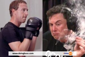 Elon Musk Vs. Mark Zuckerberg : Le Combat De Mma Attendu Toujours En Suspens