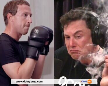 Elon Musk VS Mark Zuckerberg : Bientôt un combat de boxe ?
