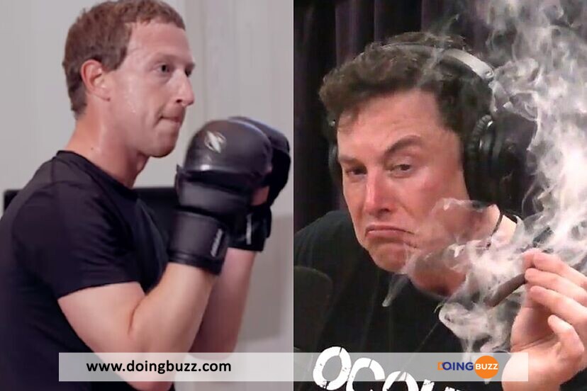 Elon Musk Vs. Mark Zuckerberg : Le Combat De Mma Attendu Toujours En Suspens