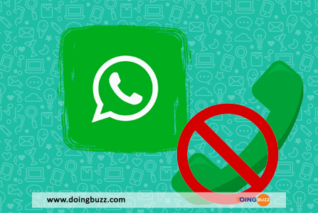 Appels Whatsapp Doingbuzz