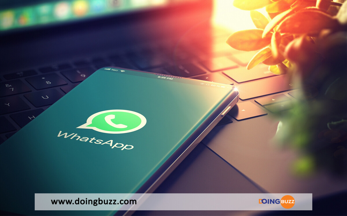 Chaines Whatsapp Doingbuzz
