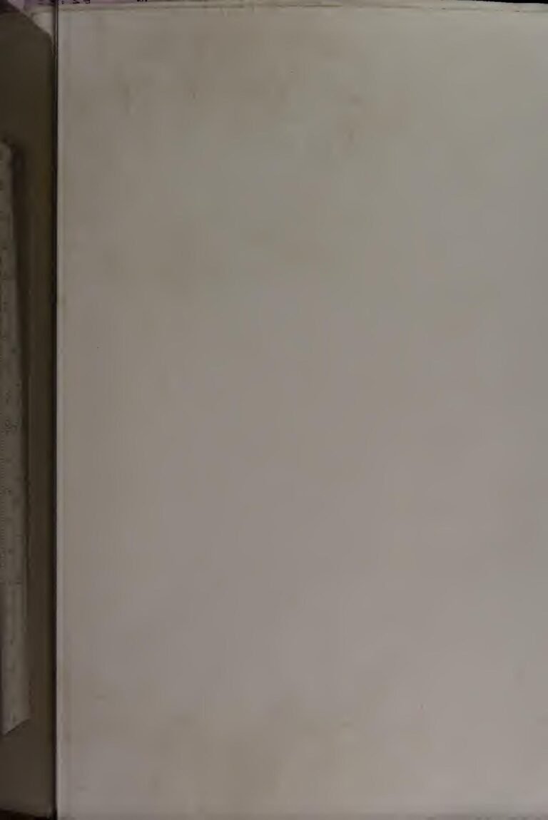 Grand P : Son parcours inspirant de l&rsquo;enfance difficile à la gloire musicale