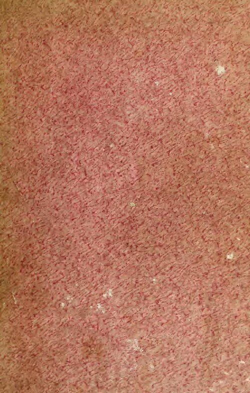 People : Découvrez ces célébrités qui ne suivent plus Kanye West sur Twitter