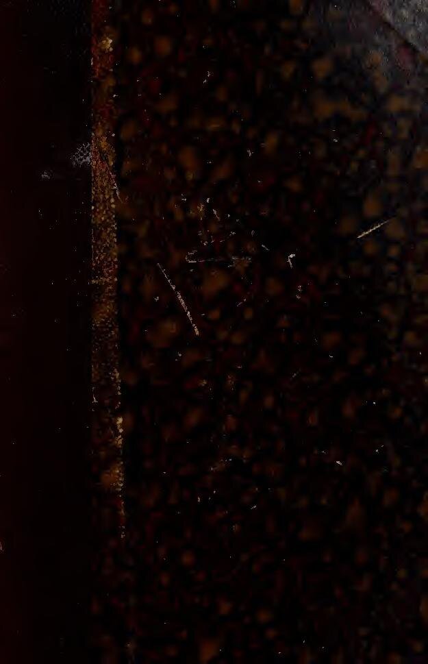 La solidarité internationale à l&rsquo;œuvre : des pompiers sud-africains arrivent au Canada pour combattre des incendies de forêt dévastateurs