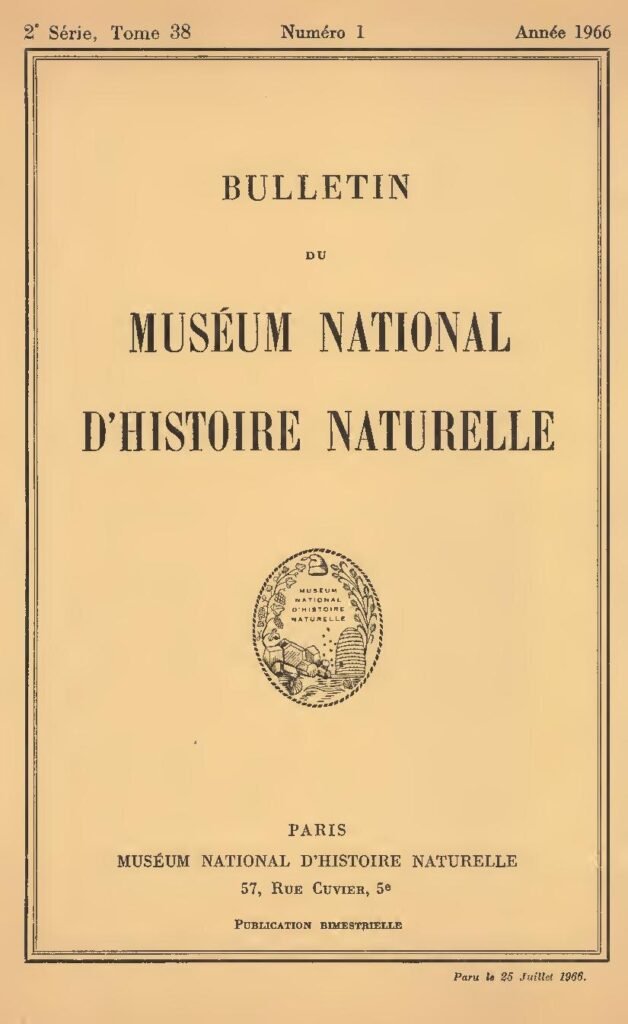 Ghana : Une femme blanche vue comme un motard (vidéo)