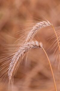 Découverte De La Beauté De La Livraison Gratuite : Les Avantages De La Livraison Gratuite