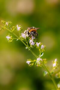 Le Guide Ultime Du Référencement Naturel En Français : Comment Booster Votre Visibilité En Ligne