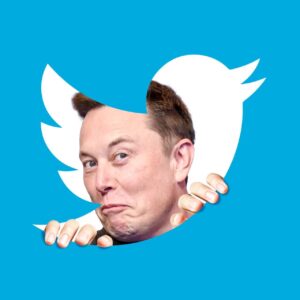 Twitter: Elon Musk Annonce La Mort Du Petit Oiseau Bleu