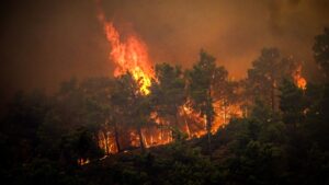 Vidéo – Incendies En Grèce : Les Images Impressionnantes De L&Rsquo;Évacuation De L&Rsquo;Île De Rhodes