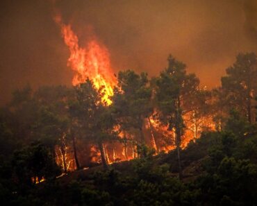 Incendie Grece Rhodes Evacuation Juillet 2023 5Ec964 0@1X