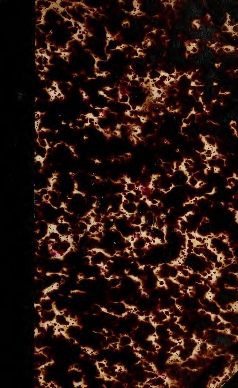 Le guide ultime du référencement naturel en français : Comment booster votre visibilité en ligne