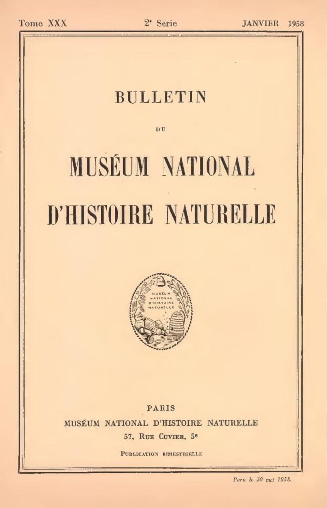 Kenya: Un homme de 35 ans meurt lors d’un marathon sexuel avec une veuve de 50 ans