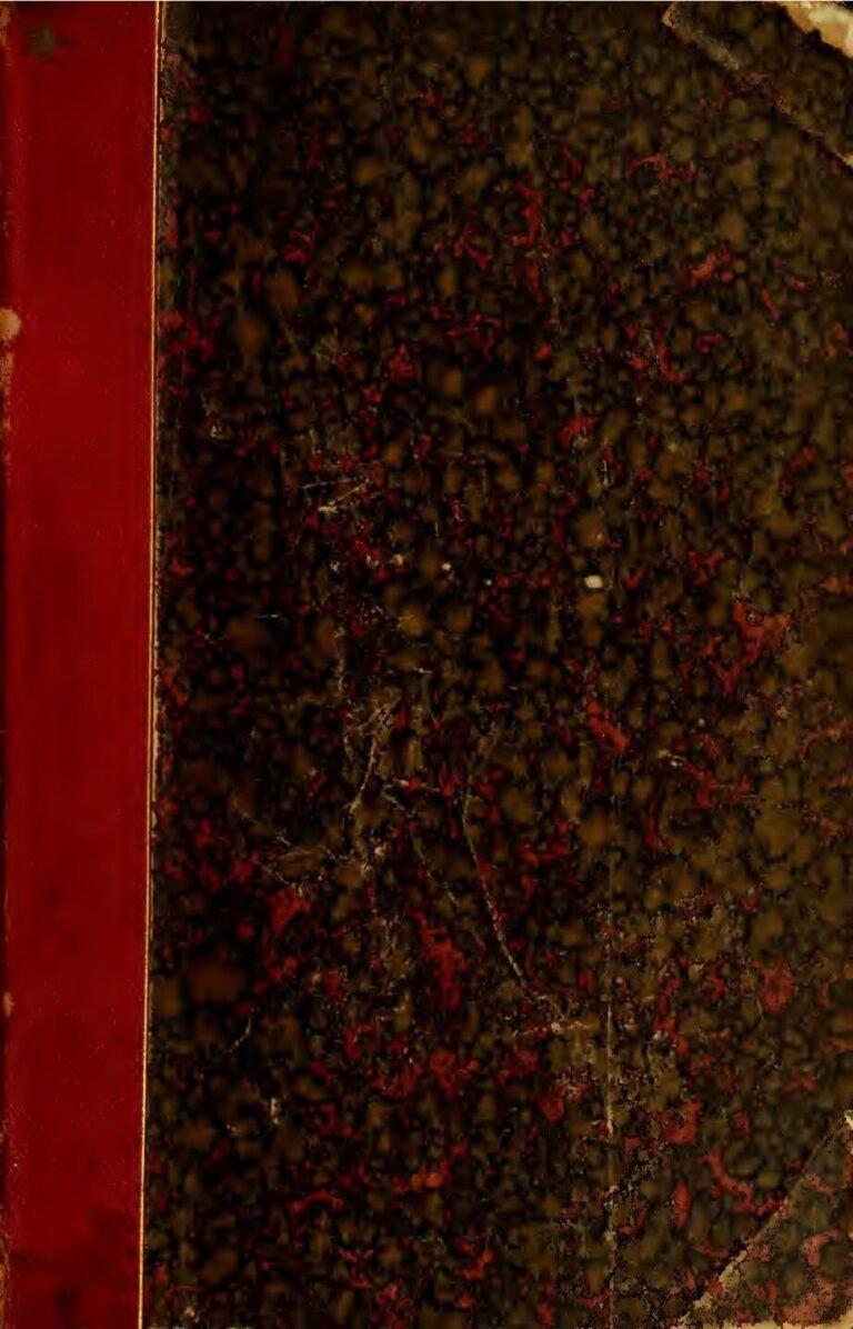 Wagner En Afrique : Quel Avenir Pour Cette Société Militaire Privée Russe ?