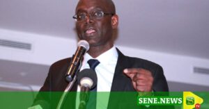 L&Rsquo;Alerte De Thierno Alassane Sall Sur Une Crise Diplomatique