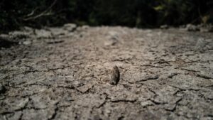 Pourquoi Le Niveau Des Nappes Phréatiques Reste-T-Il Si Bas Malgré Les Dernières Pluies ?