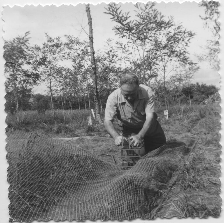 Football : pour la première fois, une femme va arbitrer en Liga