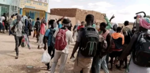 Les Sénégalais Trouvent Refuge Au…