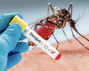 Épidémie de dengue au Tchad : Vigilance face à un danger mortel