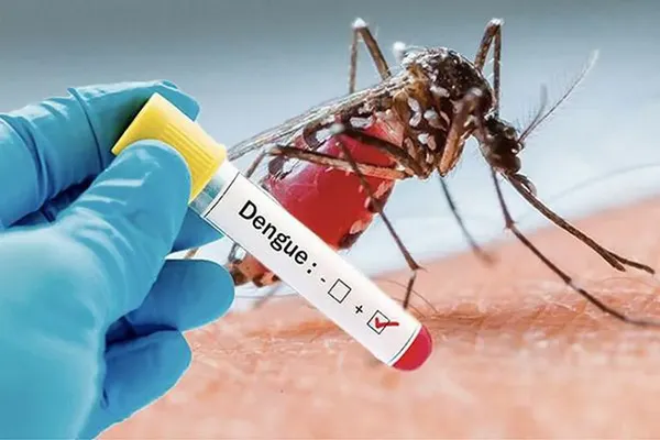 Épidémie De Dengue Au Tchad : Vigilance Face À Un Danger Mortel